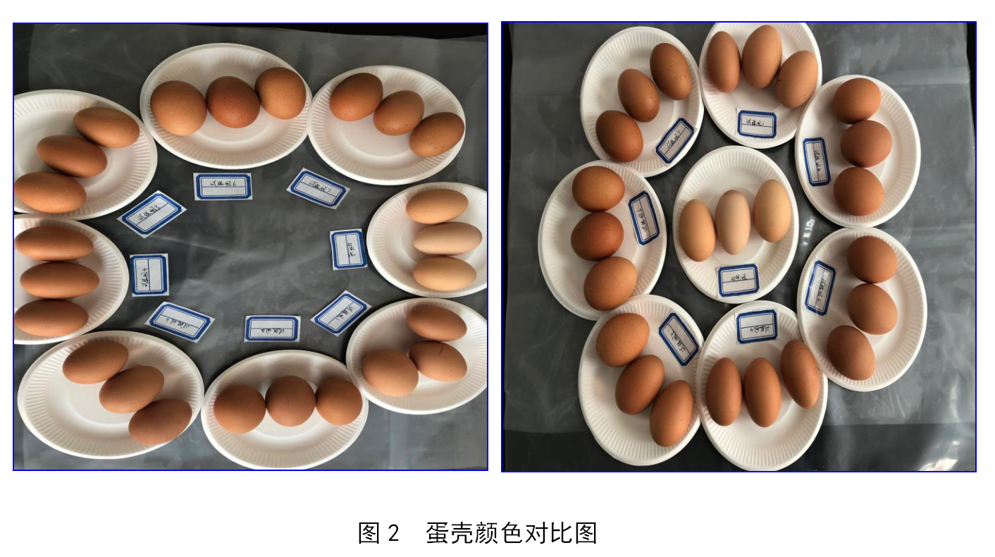 PP电子(中国)官方网站·游戏试玩平台